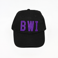 BWI - Baltimore, MD Hat
